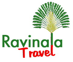 Ravinala Travel